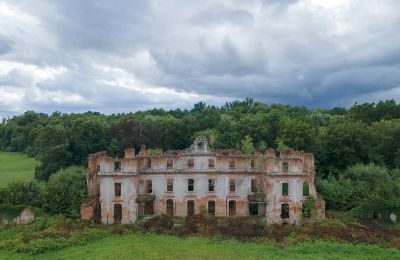 Zámek/Palác na prodej Słobity, województwo warmińsko-mazurskie:  Pohled zepředu