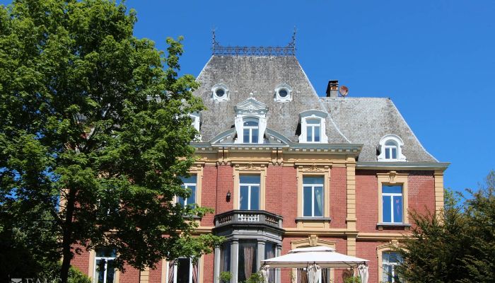 Zámek/Palác Liège, Verviers, Theux, La Reid 2