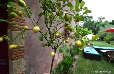 Zámek/Palác na prodej 31000 Toulouse, Occitanie:  