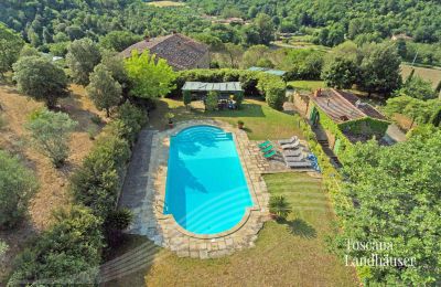 Venkovský dům na prodej Arezzo, Toscana:  RIF 2993 Blick auf Pool und Anwesen