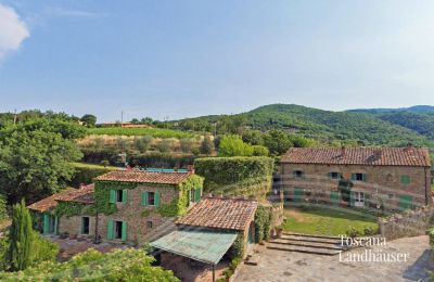 Venkovský dům na prodej Arezzo, Toscana:  RIF 2993 Blick auf Anwesen 