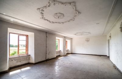 Historická vila na prodej Wodzisław, Brzezie 23, Svatokřížské vojvodství, Foto 19/27