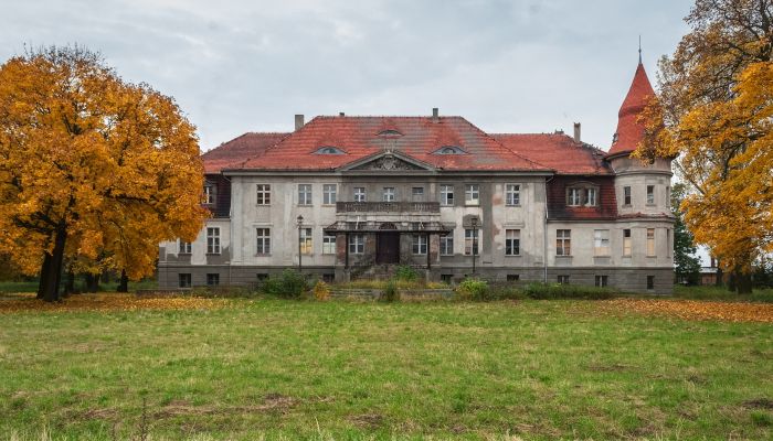 Zámek/Palác na prodej Karczewo, Velkopolské,  Polsko