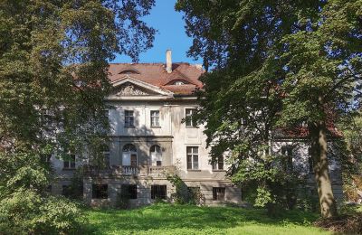 Zámek/Palác na prodej Karczewo, Velkopolské:  