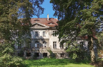 Zámek na prodej Karczewo, Velkopolské, Park