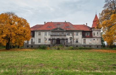Zámek/Palác na prodej Karczewo, Velkopolské:  Pohled zepředu
