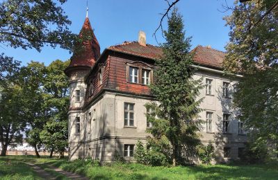 Zámek/Palác na prodej Karczewo, Velkopolské:  Boční pohled