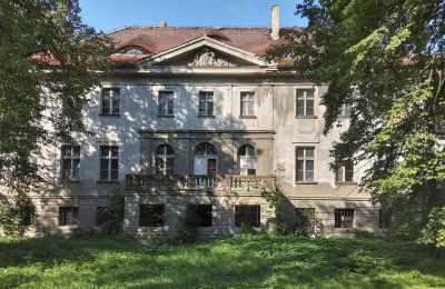 Zámek/Palác na prodej Karczewo, Velkopolské:  Pohled zezadu