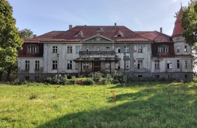 Zámek na prodej Karczewo, Velkopolské, Pohled zvenku