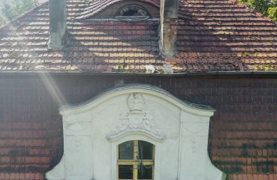 Zámek/Palác na prodej Karczewo, Velkopolské:  Střecha