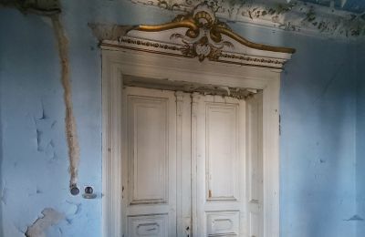 Historická vila na prodej Lubsko, Milosza 2, Lubuszské vojvodství, Podrobnosti