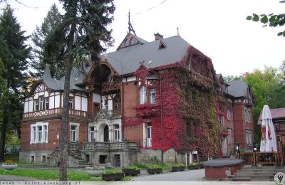 Historická vila na prodej Kudowa-Zdrój, Zdrojowa 36, Dolní Slezsko:  