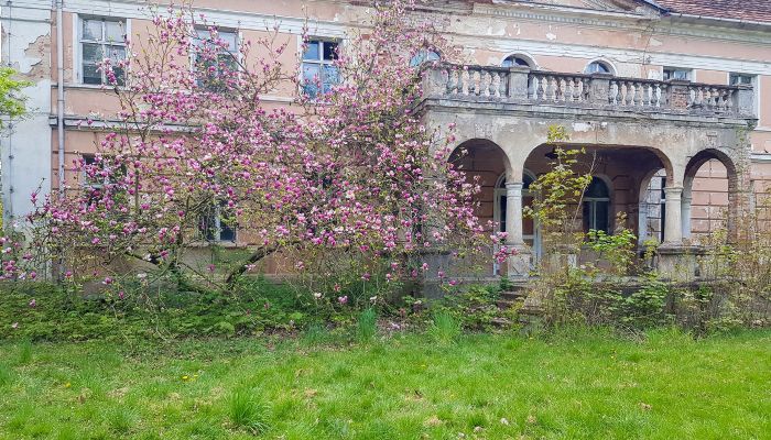 Zámeček na prodej Granówko, Velkopolské