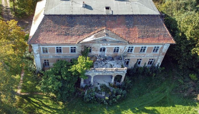 Neoklasicistní zámeček v Granówku, Velkopolsko, Důvěrná nabídka nemovitosti