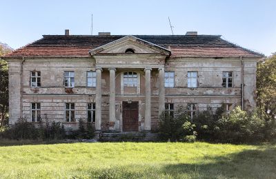 Zámek na prodej Granówko, Velkopolské, Pałac w Granówku 2024