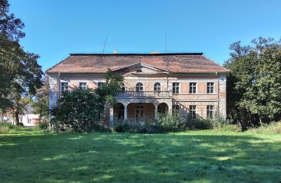 Zámek na prodej Granówko, Velkopolské, Pohled zezadu