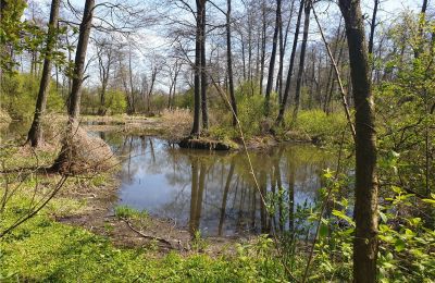 Historický park na prodej Dębe Wielkie, Ruda, Mazovia, Foto 8/24