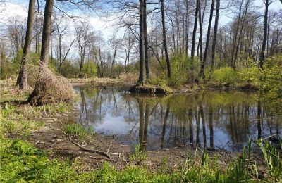 Historický park na prodej Dębe Wielkie, Ruda, Mazovia, Foto 9/24