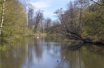 Historický park na prodej Dębe Wielkie, Ruda, Mazovia, Foto 14/24