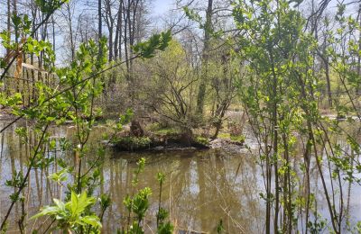 Historický park na prodej Dębe Wielkie, Ruda, Mazovia, Foto 17/24