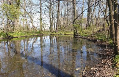 Historický park na prodej Dębe Wielkie, Ruda, Mazovia, Foto 16/24