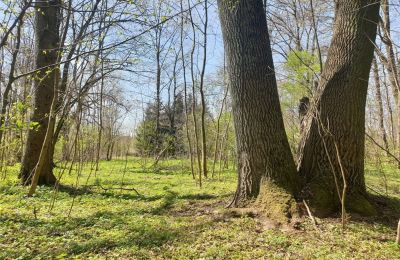 Historický park na prodej Dębe Wielkie, Ruda, Mazovia, Foto 19/24