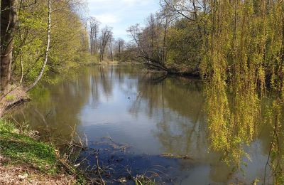 Historický park na prodej Dębe Wielkie, Ruda, Mazovia, Foto 22/24