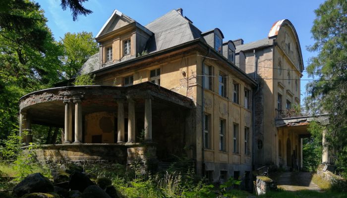 Zámek/Palác Trzcinno 4