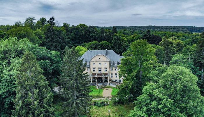 Zámek/Palác na prodej Trzcinno, województwo pomorskie,  Polsko