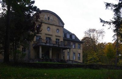 Zámek na prodej Trzcinno, Trzcinno 21, Pomořanské vojvodství, Boční pohled