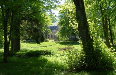 Zámek na prodej Trzcinno, Trzcinno 21, Pomořanské vojvodství, Park