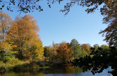 Zámek na prodej Trzcinno, Trzcinno 21, Pomořanské vojvodství, Jezero/rybník