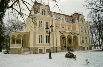 Zámek na prodej Niewodniki, Opolské vojvodství, Foto 4/9