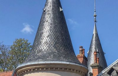 Zámek na prodej Bourgogne-Franche-Comté, Foto 4/11