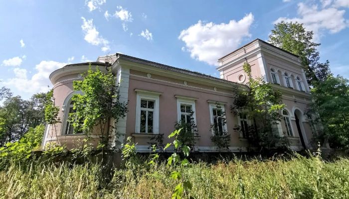 Zámeček na prodej Lubiatów, Lodžské vojvodství,  Polsko