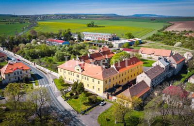 Zámek na prodej Cítoliby, Zamek Cítoliby, Ústecký kraj, Foto z dronu