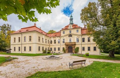Zámek na prodej Mirošov, Zámek Mirošov, Plzeňský kraj, Zahrada