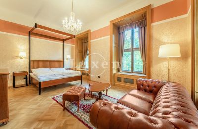 Zámek na prodej Mirošov, Zámek Mirošov, Plzeňský kraj, Foto 15/30