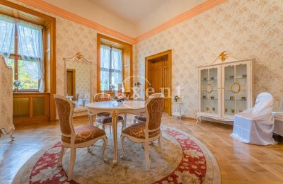 Zámek na prodej Mirošov, Zámek Mirošov, Plzeňský kraj, Foto 20/30