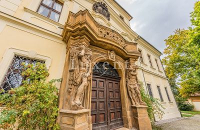 Zámek na prodej Mirošov, Zámek Mirošov, Plzeňský kraj, Foto 29/30