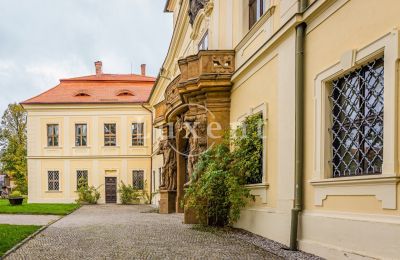 Zámek na prodej Mirošov, Zámek Mirošov, Plzeňský kraj, Foto 28/30
