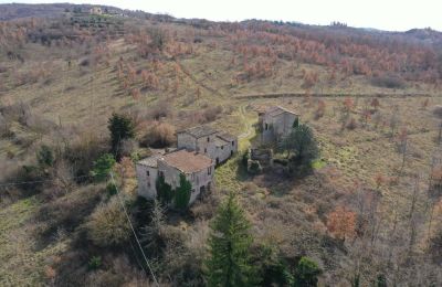 Venkovský dům na prodej 06019 Umbertide, Umbria, Foto 12/20