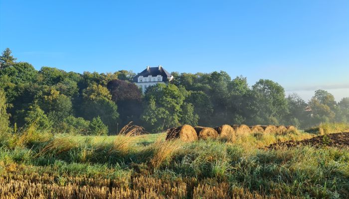 Zámek/Palác na prodej Piszkowice, Dolní Slezsko,  Polsko