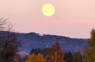 Zámek na prodej Piszkowice, Dolní Slezsko, Okokica