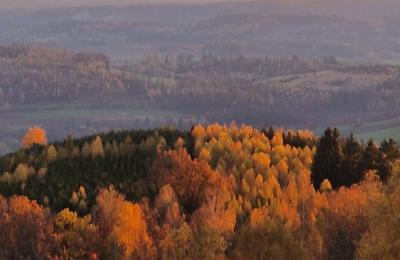 Zámek na prodej Piszkowice, Dolní Slezsko, Foto 23/28