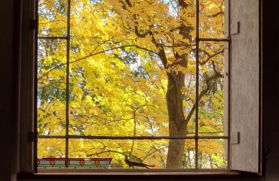 Zámek na prodej Piszkowice, Dolní Slezsko, Foto 25/28