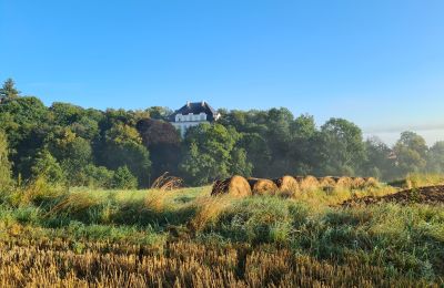 Zámek/Palác Piszkowice, Dolní Slezsko