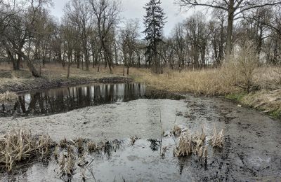 Zámeček na prodej Bolkowice, Západopomořanské, Jezero/rybník