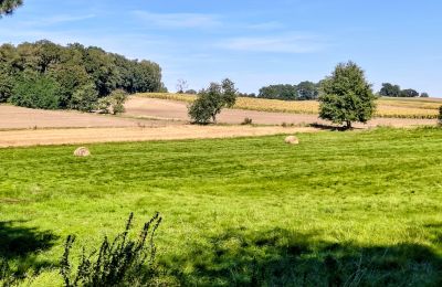 Zámek na prodej Sławnikowice, Slawnikowice 99, Dolní Slezsko, Foto 28/28