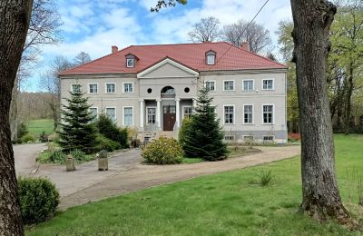 Zámek na prodej Sławnikowice, Slawnikowice 99, Dolní Slezsko, Pohled zepředu